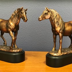 Passages Pet Cremation & Grief Center