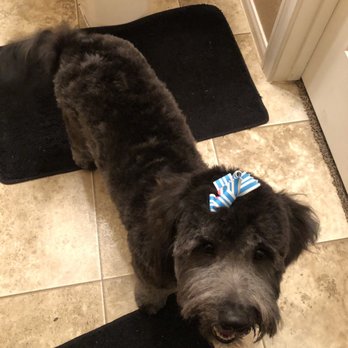 Bark Place Grooming - Pet Groomers Near Me - Las Vegas, Nevada