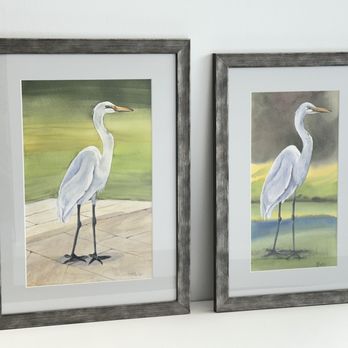 Harbor Frame Shop - Watercolor paintings of friendly bird - Framing Near Me - Palm Harbor, Florida Harbor Frame Shop - Watercolor paintings of friendly bird - Framing Near Me - Palm Harbor, Florida