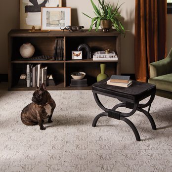 Floor Coverings International - Flooring Near Me - St. Cloud, Florida