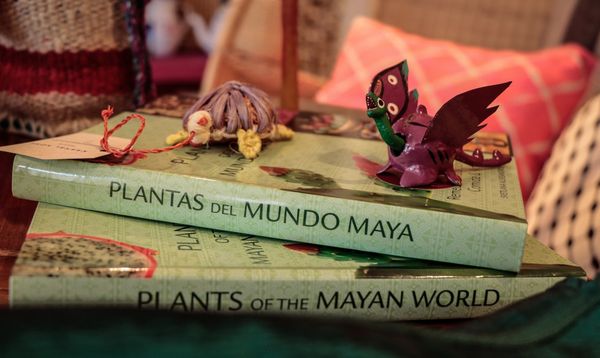 Kaahal Home Tulum by null