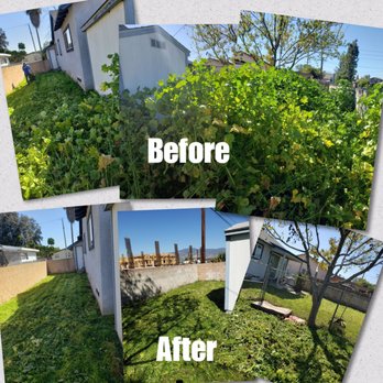 SGV Gardener - Gardeners Near Me SGV Gardener - Gardeners Near Me