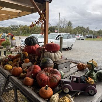 Brossman Farm Stand - Farmers Market Near Me - Leesburg, Virginia Brossman Farm Stand - Farmers Market Near Me - Leesburg, Virginia