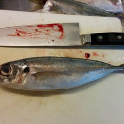 Fischparadies - 鯵(Stökke) は ゼイゴが目印です。