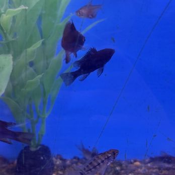 Aquatic Warehouse - Aquarium Services Near Me - San Diego, California Aquatic Warehouse - Aquarium Services Near Me - San Diego, California