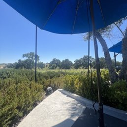 View from the private lounge chairs. They also had a speaker playing 80s/90s music! View from the private lounge chairs. They also had a speaker playing 80s/90s music!