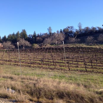 Sobon Estate - On the way to Sobon. Plenty of grapes and farm animals. - Wineries Near Me - Plymouth, California Sobon Estate - On the way to Sobon. Plenty of grapes and farm animals. - Wineries Near Me - Plymouth, California