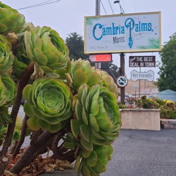Cambria Palms Motel - Hotels Near Me - Cambria, California