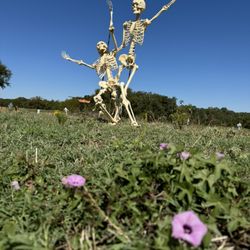 Twinstone Ranch - Skeleventures - Hay Ride