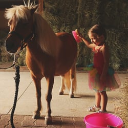 A Pony Playce guest brushing Charm - one of the many things you get to do on a Pony Play Date!