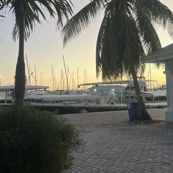 Greenhouse - Table view - Restaurants Near Me - Ginzo, PO Greenhouse - Table view - Restaurants Near Me - Ginzo, PO