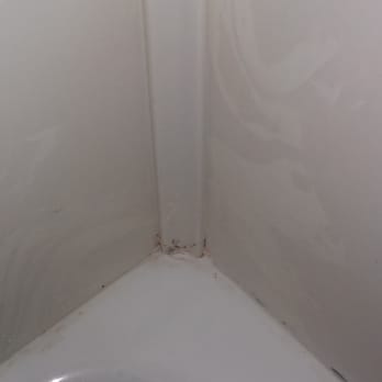 Holiday Inn Express & Suites Gainesville - Clean tub yeah right - Hotels Near Me - Gainesville, Texas Holiday Inn Express & Suites Gainesville - Clean tub yeah right - Hotels Near Me - Gainesville, Texas