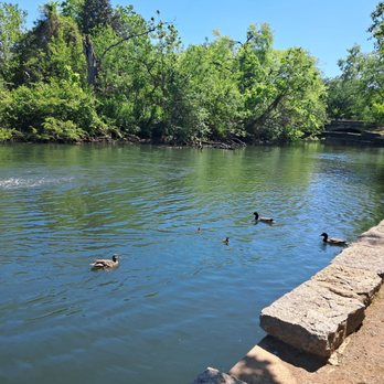 Centennial Park - Parks Near Me - Nashville, Tennessee Centennial Park - Parks Near Me - Nashville, Tennessee