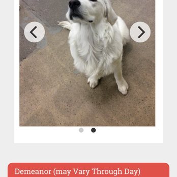 The Sniff Shack - Pet Sitting Near Me - Denver, Colorado The Sniff Shack - Pet Sitting Near Me - Denver, Colorado