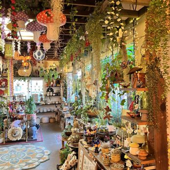 Tansy - Indoor - Home Decor Near Me - Burbank, California
