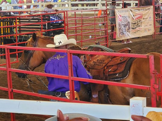 Georgia International Horse Park by null