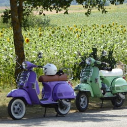 Ride In Tours - Scooter rétro pour vivre la Dolce Vita en Touraine