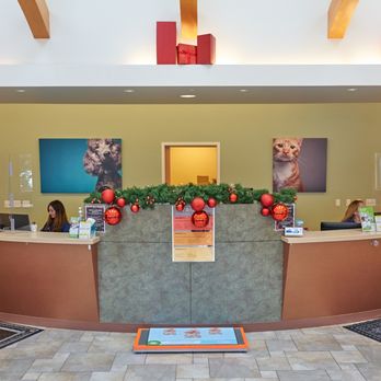 VCA Capital Area Veterinary Emergency and Specialty - Emergency Pet Hospital Near Me - Concord, New Hampshire VCA Capital Area Veterinary Emergency and Specialty - Emergency Pet Hospital Near Me - Concord, New Hampshire