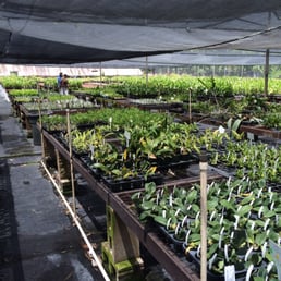 2" pots