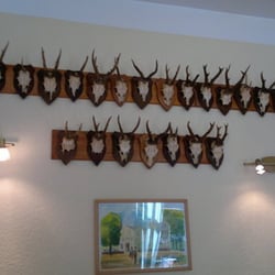 Zum Hangelwirt