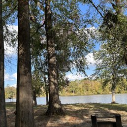 Campsite 15 Campsite 15