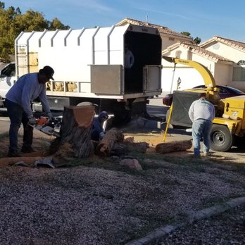 3 Brothers Tree Service - Landscaping Near Me - Henderson, Nevada 3 Brothers Tree Service - Landscaping Near Me - Henderson, Nevada