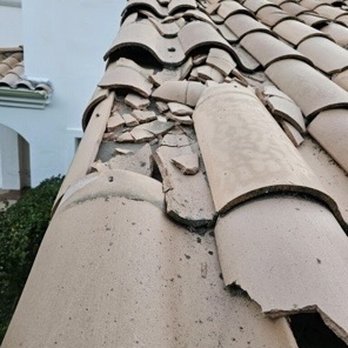Ecola Termite and Pest Control Services - Pest Control Near Me - Mission Hills, California Ecola Termite and Pest Control Services - Pest Control Near Me - Mission Hills, California