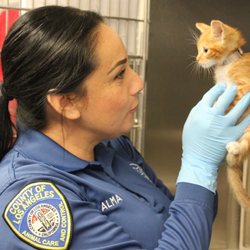Los Angeles County Animal Care and Control