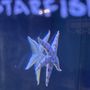 Photo of Aquarium & Reptile Depot