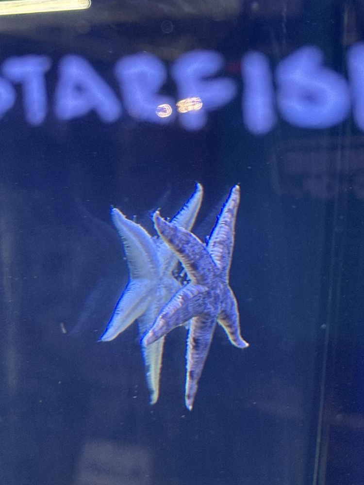 Aquarium & Reptile Depot - reptile breeding in Citrus Heights, CA