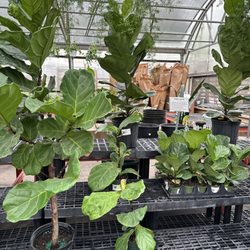 Rolling Ridge Nursery