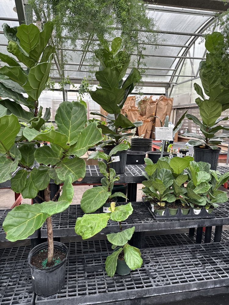 ROLLING RIDGE NURSERY Updated August 2024 65 Photos & 34 Reviews