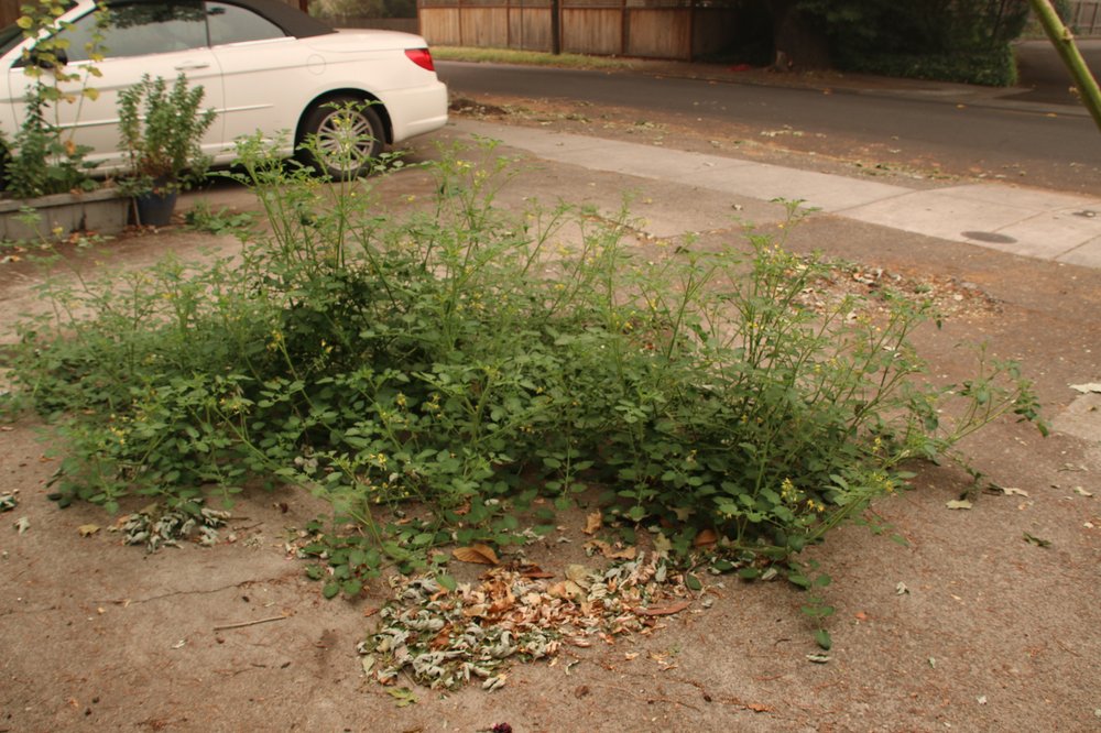 Slide of Art Of Plumbing