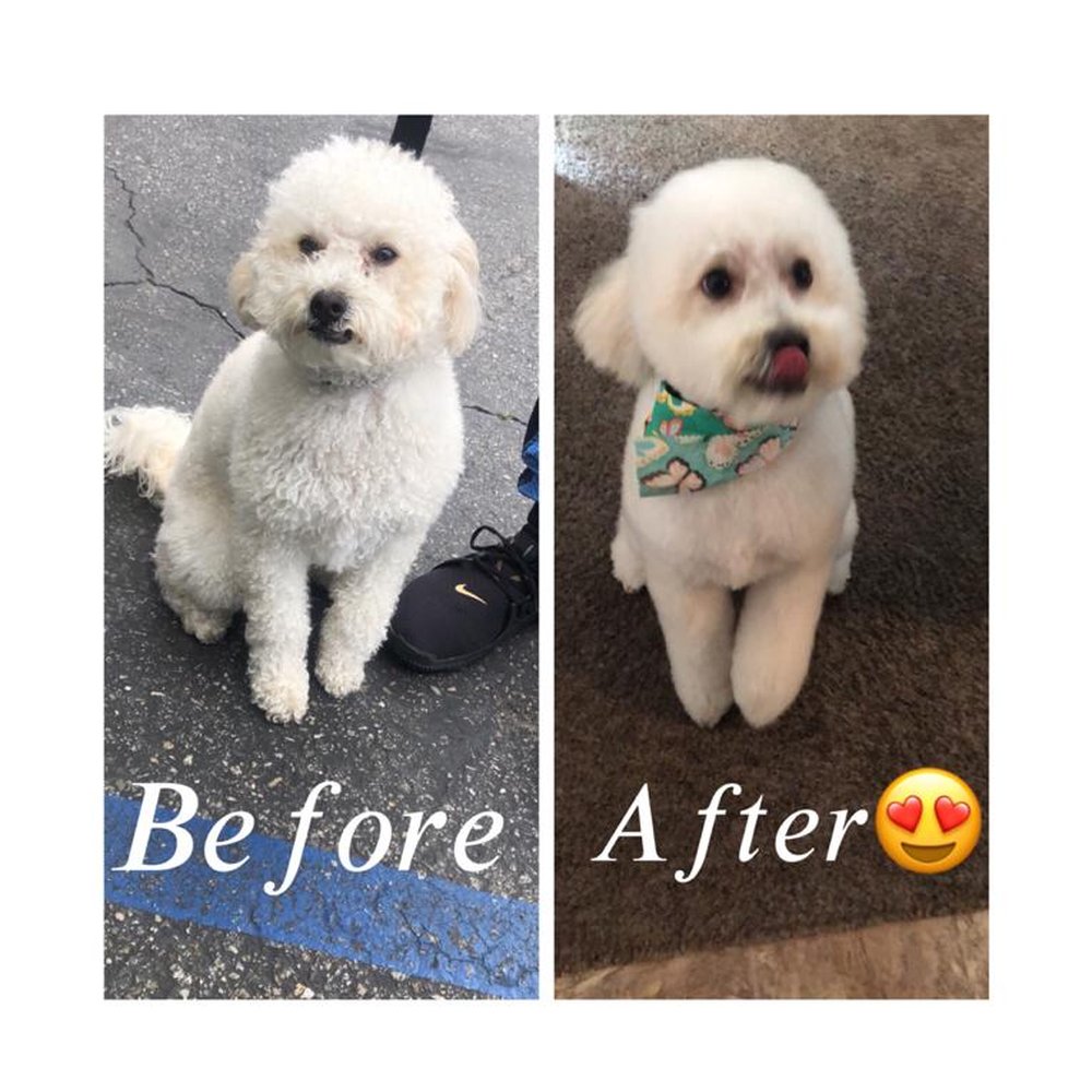 Alta Pet Center - Pet Groomers Near Me - Upland, California Alta Pet Center - Pet Groomers Near Me - Upland, California