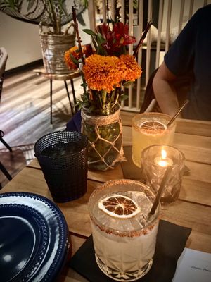 Octopus Baja by null