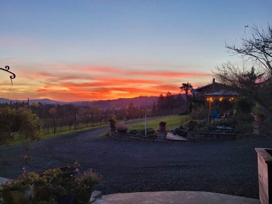 Stangeland Vineyards & Winery by null