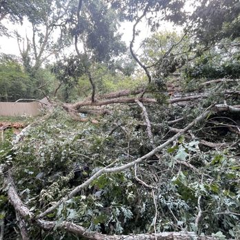 Top Tier Trees - Trees down - Tree Services Near Me - Marietta, Georgia Top Tier Trees - Trees down - Tree Services Near Me - Marietta, Georgia