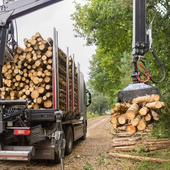 Bear Tree Service - Tree Services Near Me - Port Washington, New York Bear Tree Service - Tree Services Near Me - Port Washington, New York