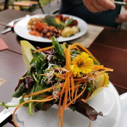 Miera - Hübsche Salatvariation