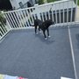 Photo of G. Talley Carpet & Floor