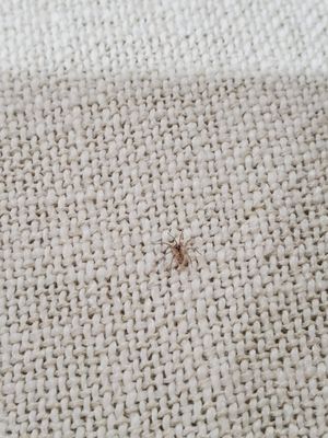 Crate & Barrel by null