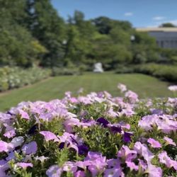 James P Kelleher Rose Garden