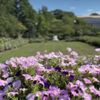 James P Kelleher Rose Garden gift card