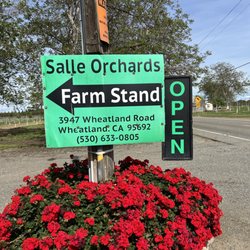 Salle Orchards - In front