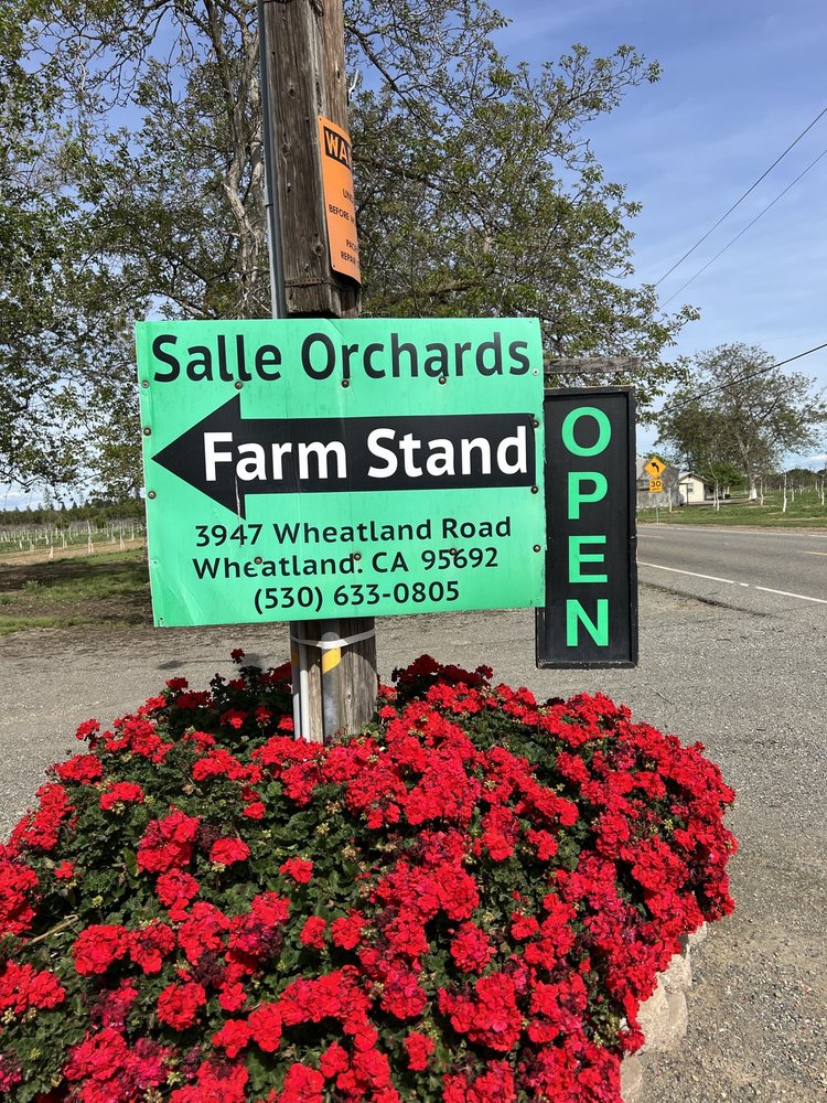 Salle Orchards Logo