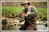 Trout and About Logo