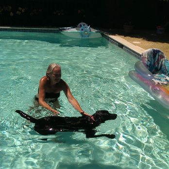 Comfortable Creatures Pet Sitting - Pet Sitting Near Me Comfortable Creatures Pet Sitting - Pet Sitting Near Me
