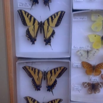 Agriculture Museum - Butterflies! - Museums Near Me - Santa Paula, California