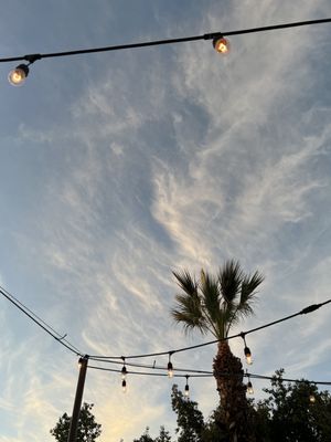 Carlsbad Tavern by null