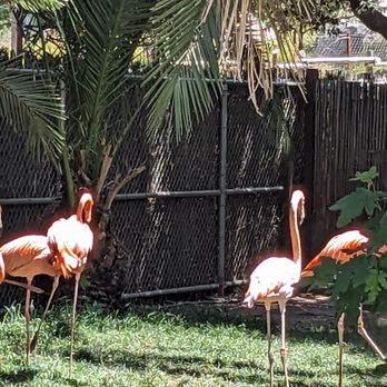 Fresno Chaffee Zoo - Zoos Near Me - Fresno, California Fresno Chaffee Zoo - Zoos Near Me - Fresno, California
